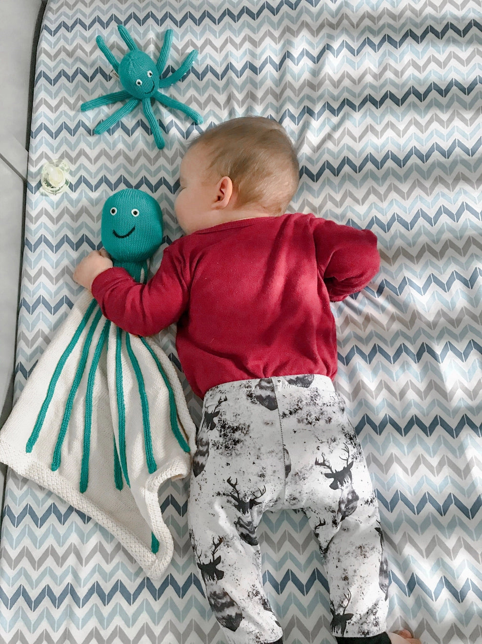 Octopus Rattle - Estella