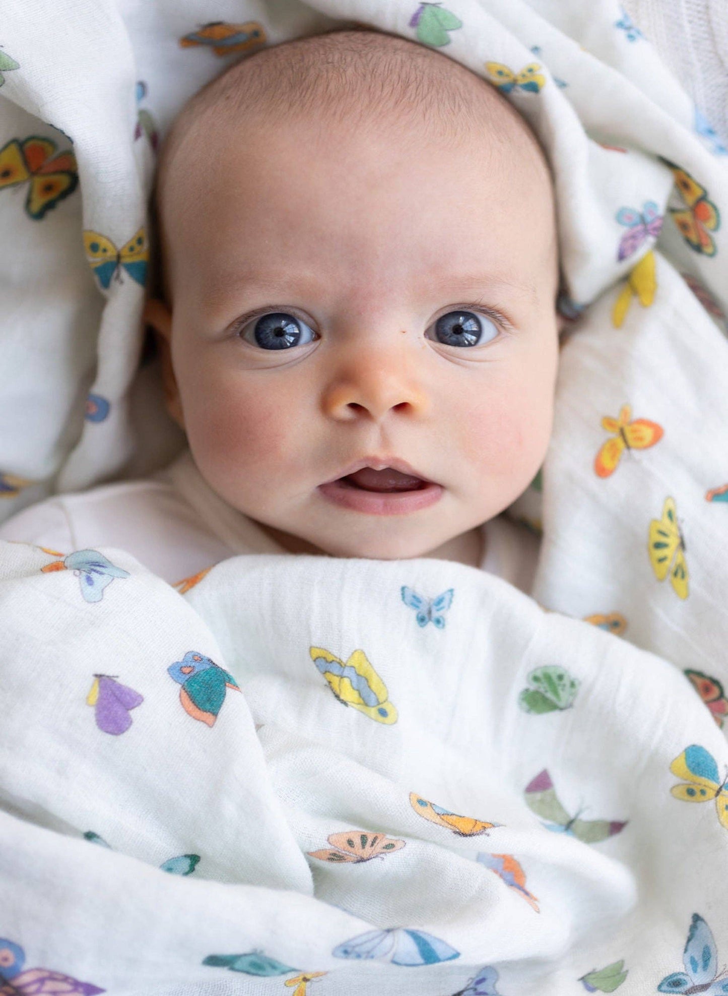 Madame Butterfly Shawl Blanket:Timo & Violet