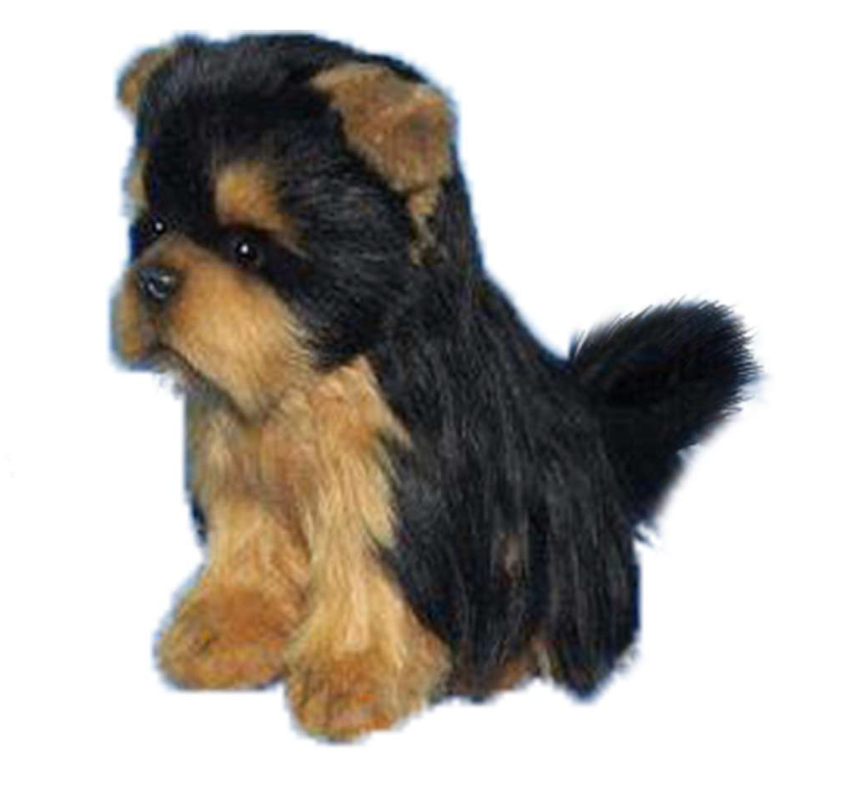 Tie 2024 cup yorkie