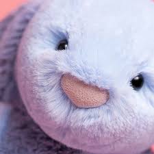 Puddle Sea Bunny- Jellycat