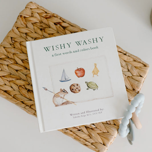 Wishy Washy Words and Colors Board Book - Paige Tate & Co