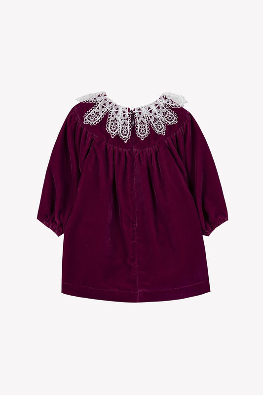 Plum Velvet Dress w Lace Collar- Tartine et Chocolat FW25