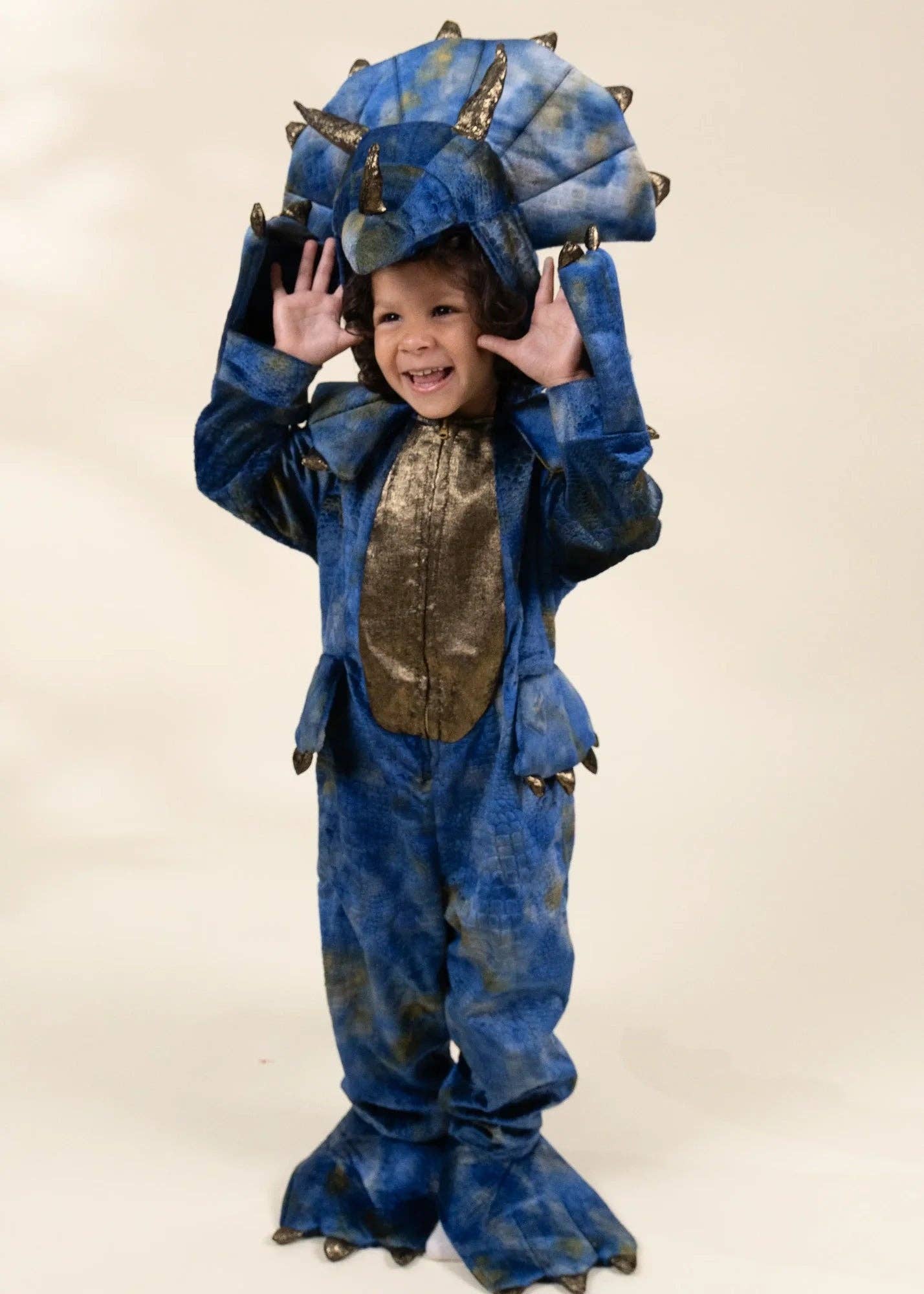 Dinosaur Play Costume - Coco Village