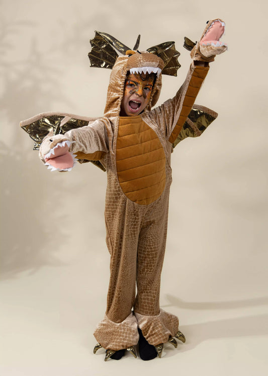 Dragon Costume - Coco Village