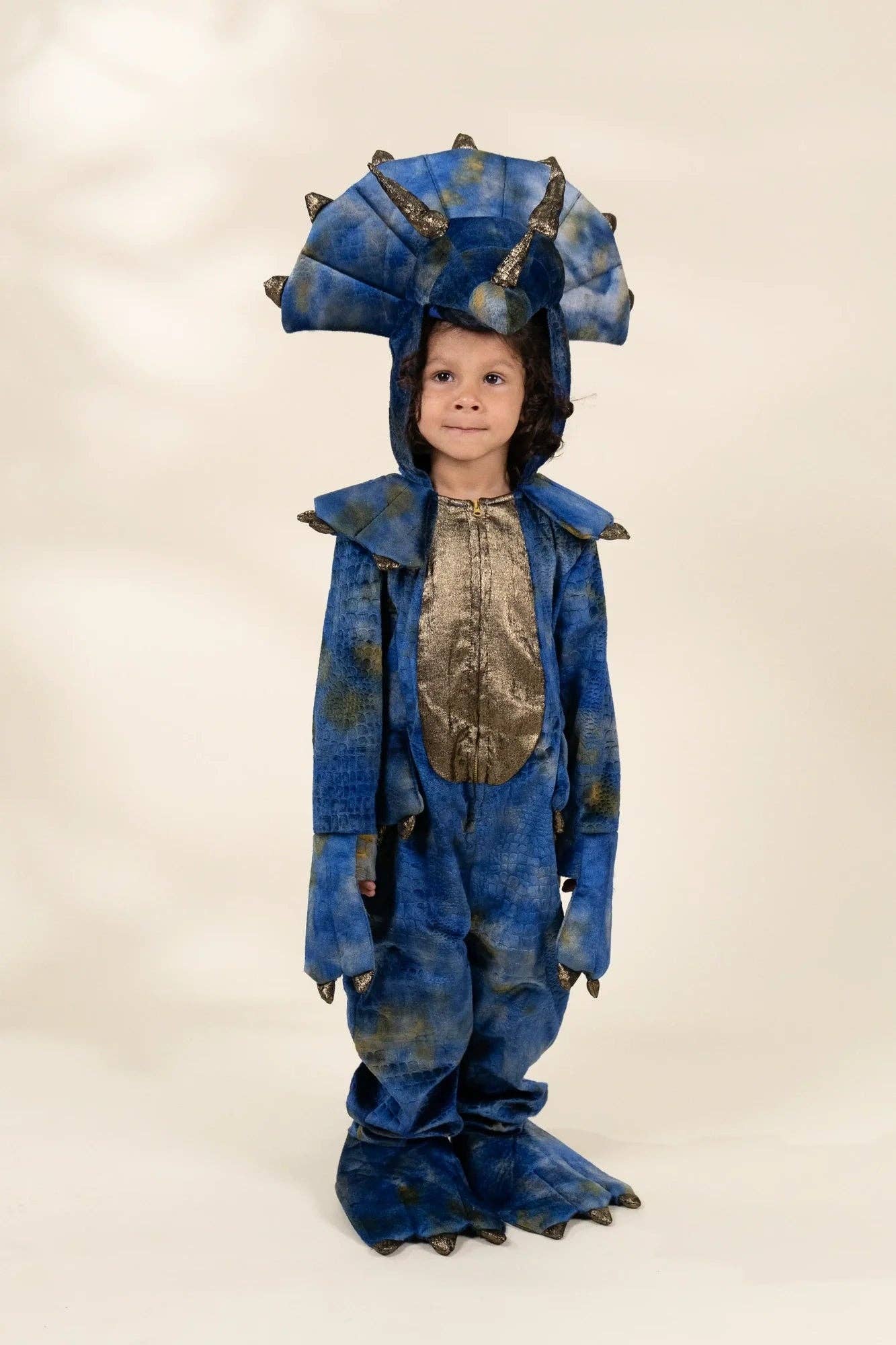 Dinosaur Play Costume - Coco Village