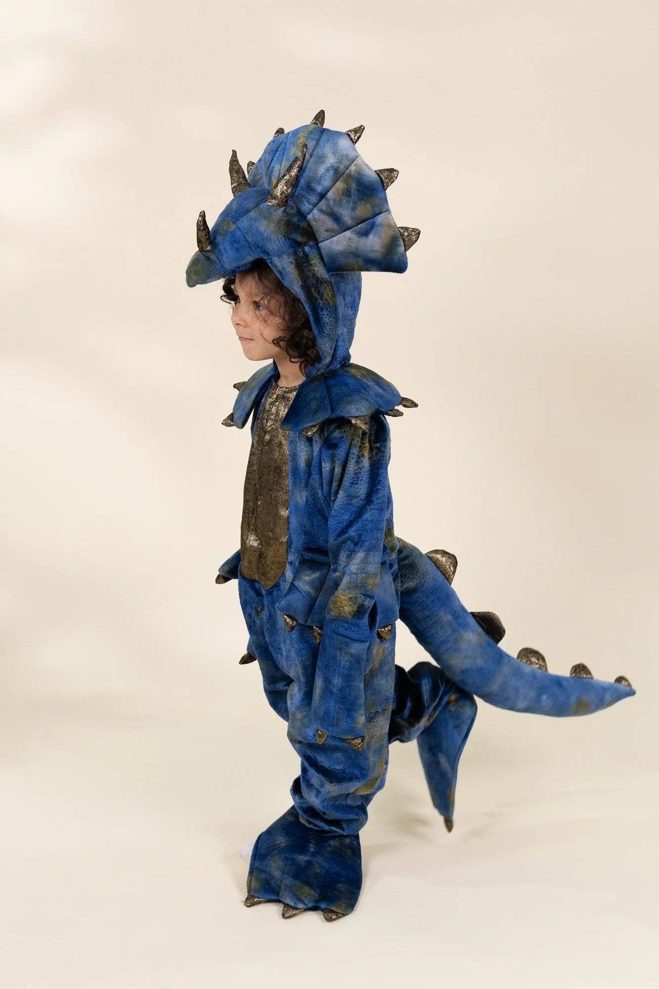 Dinosaur Play Costume - Coco Village