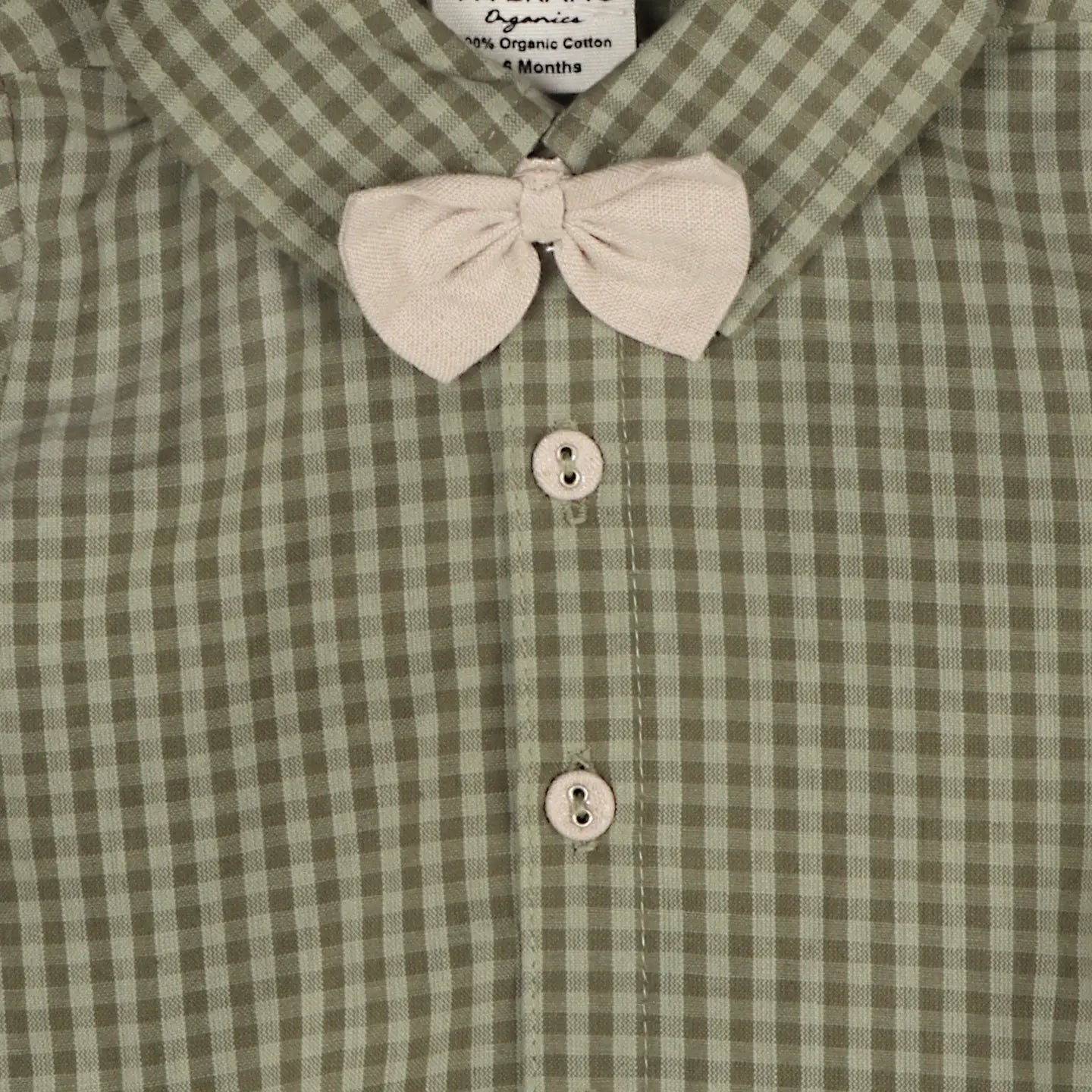 Gingham Shirt & Pant Set (Organic Cotton)- viverano