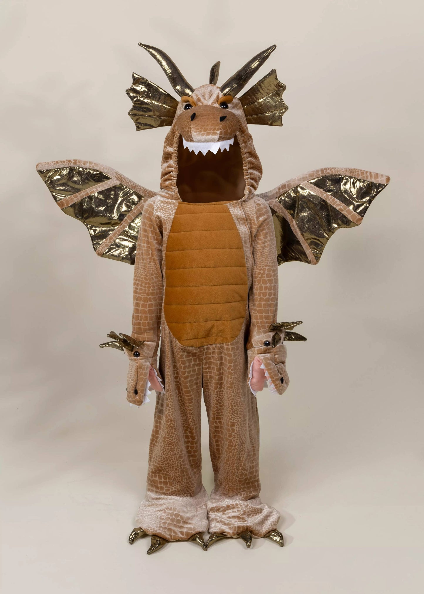Dragon Costume - Coco Village