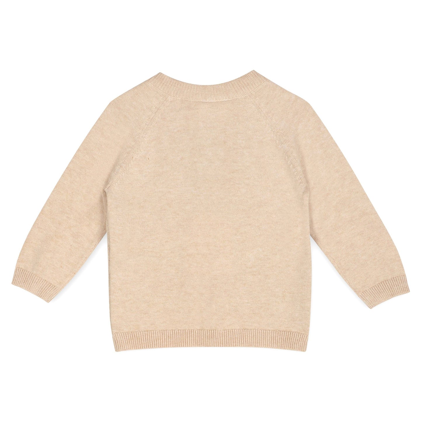 Doxie Dog Jacquard Knit  Raglan Pullover (Organic): viverano