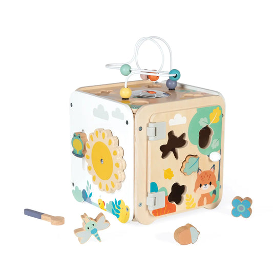 Pure Multi Activity Cube- Janod