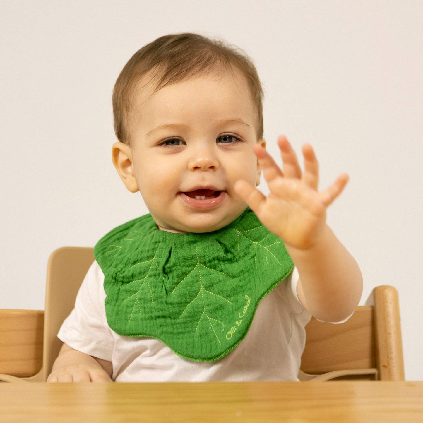 Kendall The Kale Bib