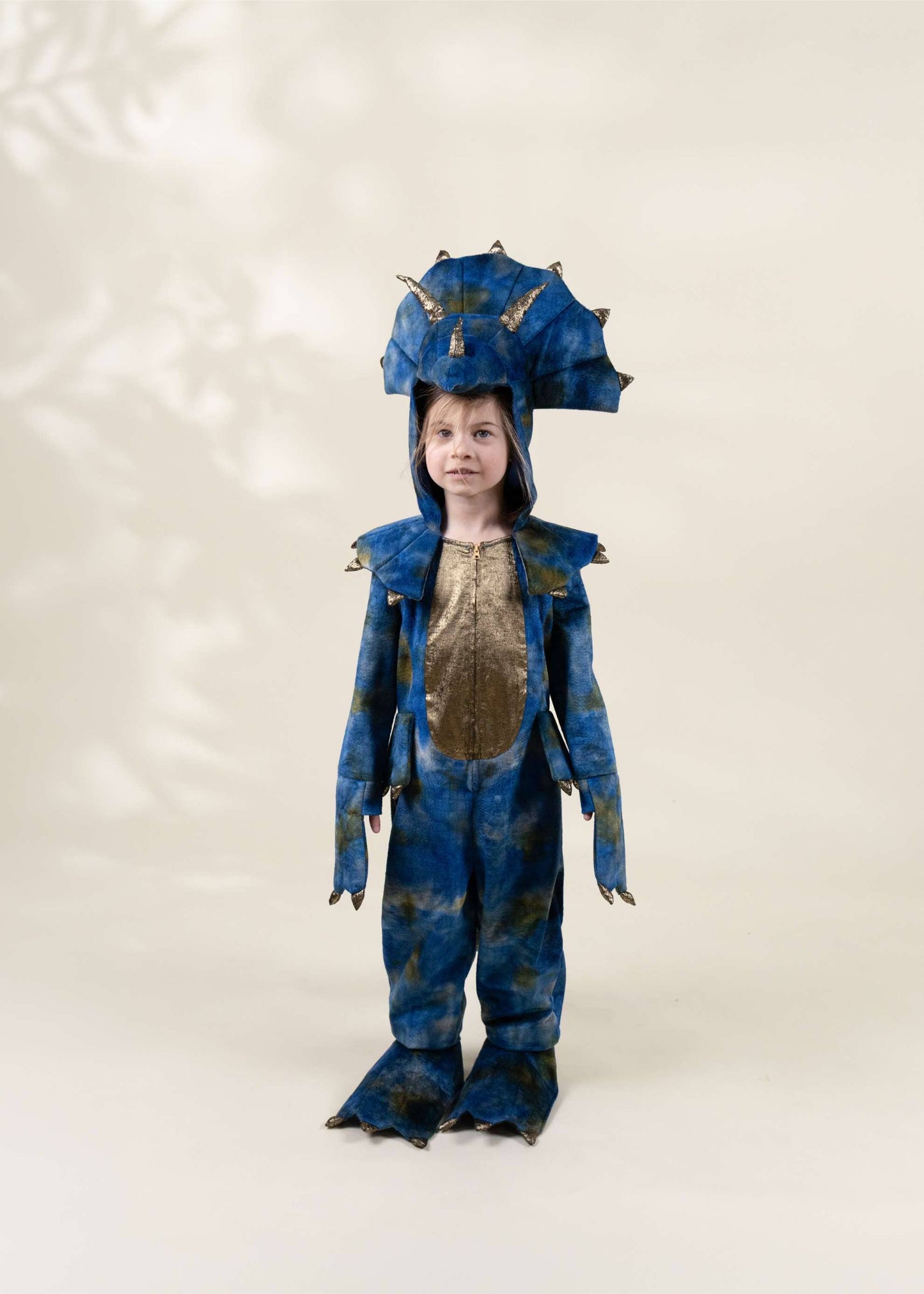 Dinosaur Play Costume - Coco Village