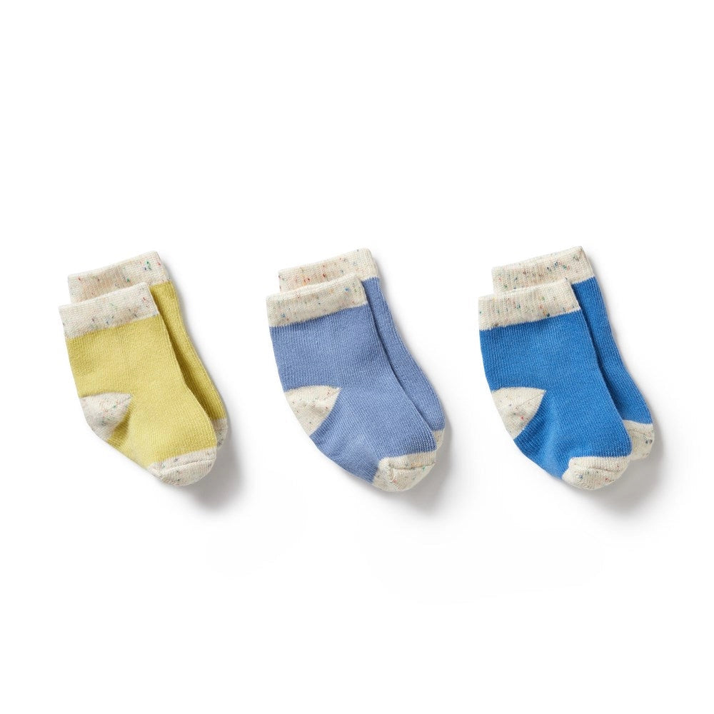 3pk Socks - Wilson and Frenchy