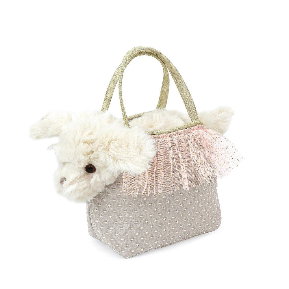 Sugar Maltese Puppy- Mon Ami