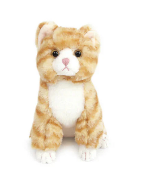 Chi Chi Kitty Small - Mon Ami