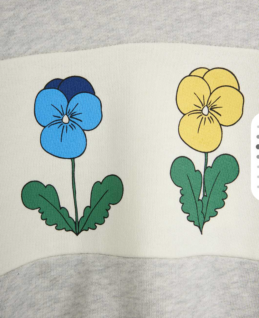 Violas Panel Sweatshirt-Mini Rodini FW26
