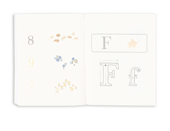 Activity Book w Color Pencils-Konges Slojd