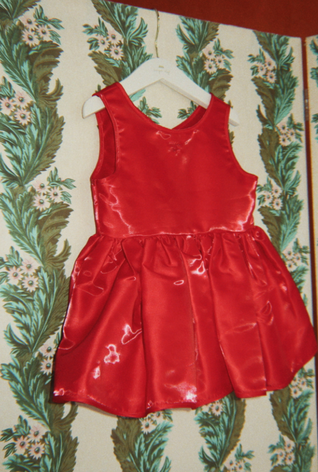 Bellis Sheeny  Dress-Konges Slojd FW26