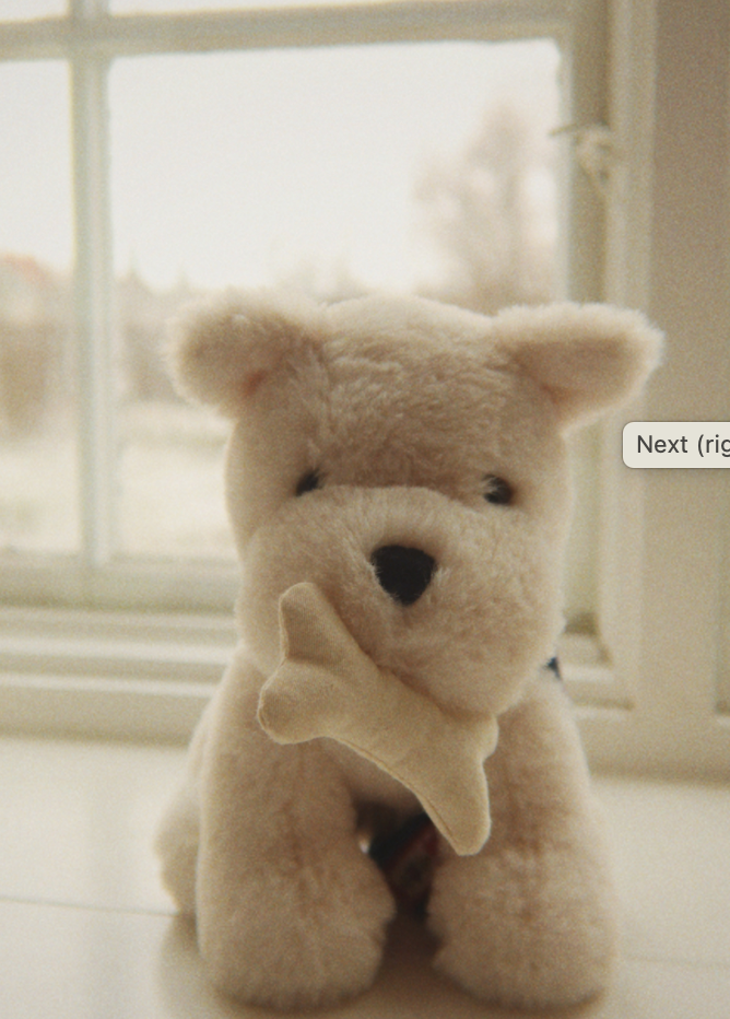 Terry Puppy-Konges Slojd