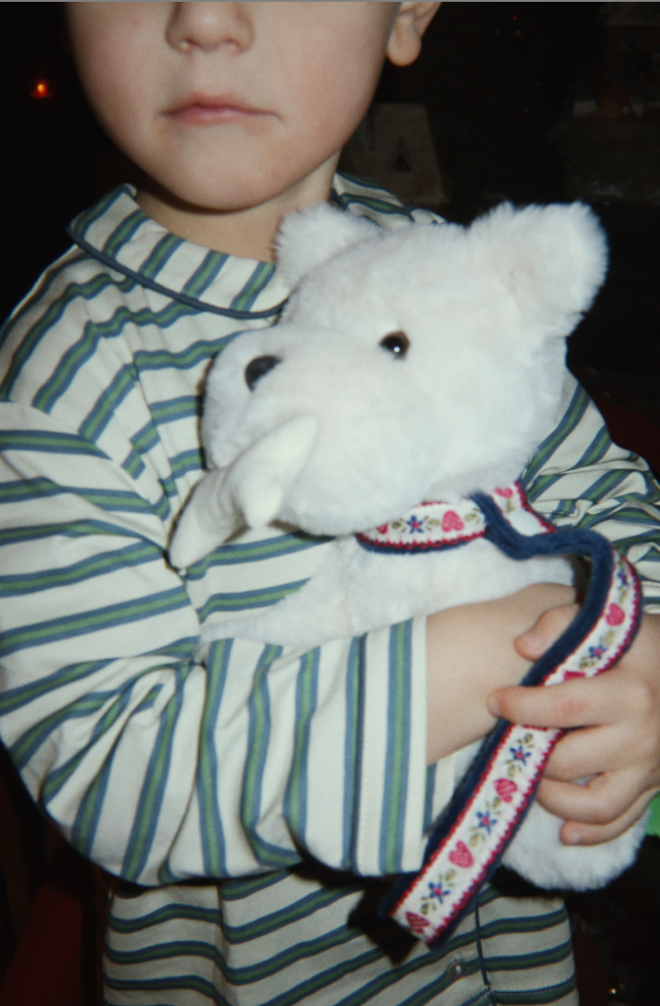 Terry Puppy-Konges Slojd