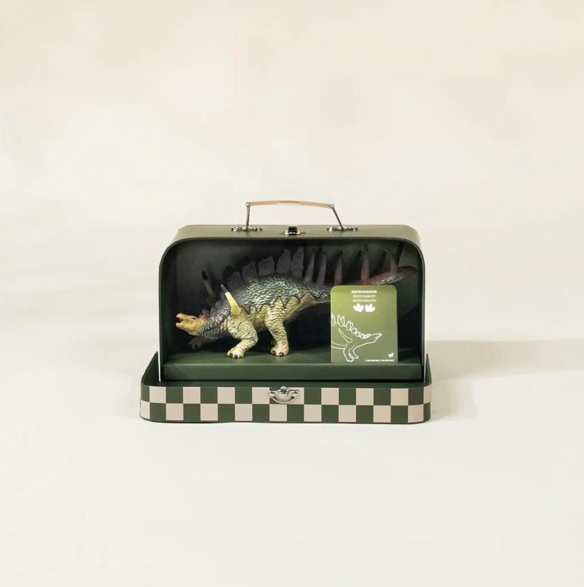 Kentrosaurus Dinosaur in A Collectible Box - Coco Village