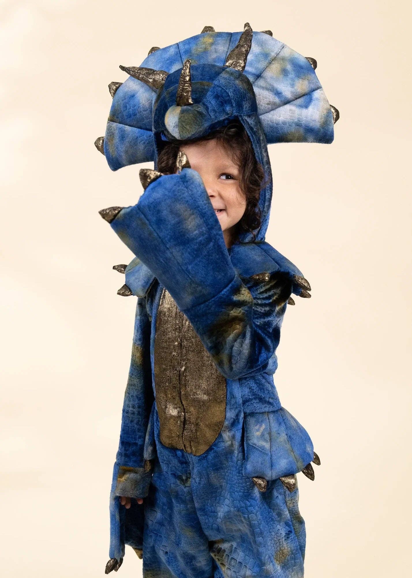 Dinosaur Play Costume - Coco Village
