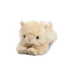 Ginger Kitty- Mon Ami