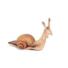 Snail - Hansa