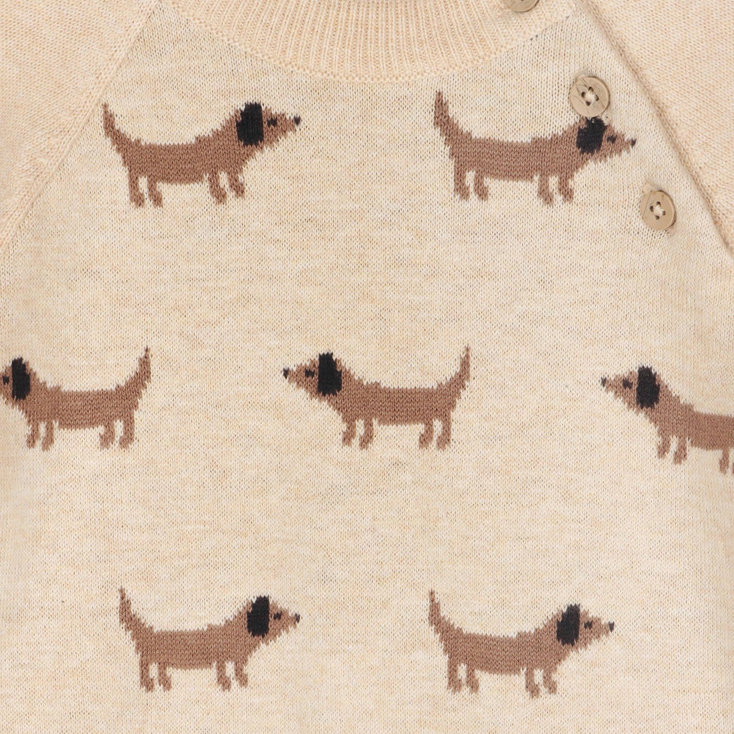 Doxie Dog Jacquard Knit  Raglan Pullover (Organic): viverano