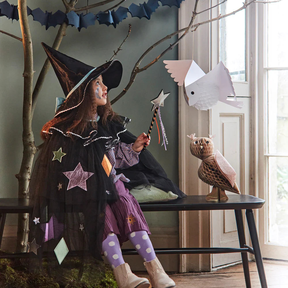 Tulle Appliqué Witch Costume - Meri Meri