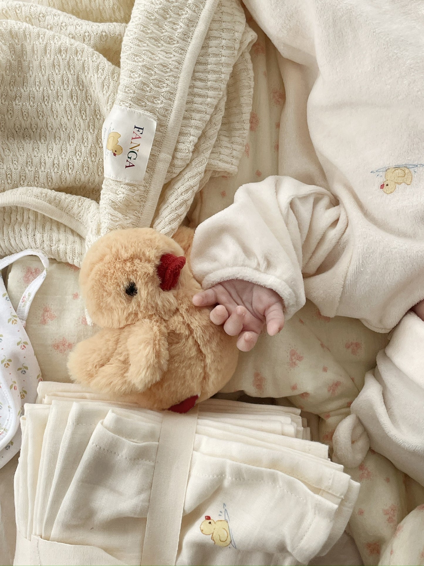 Duck Muslin Cloth 10pk - Fanga