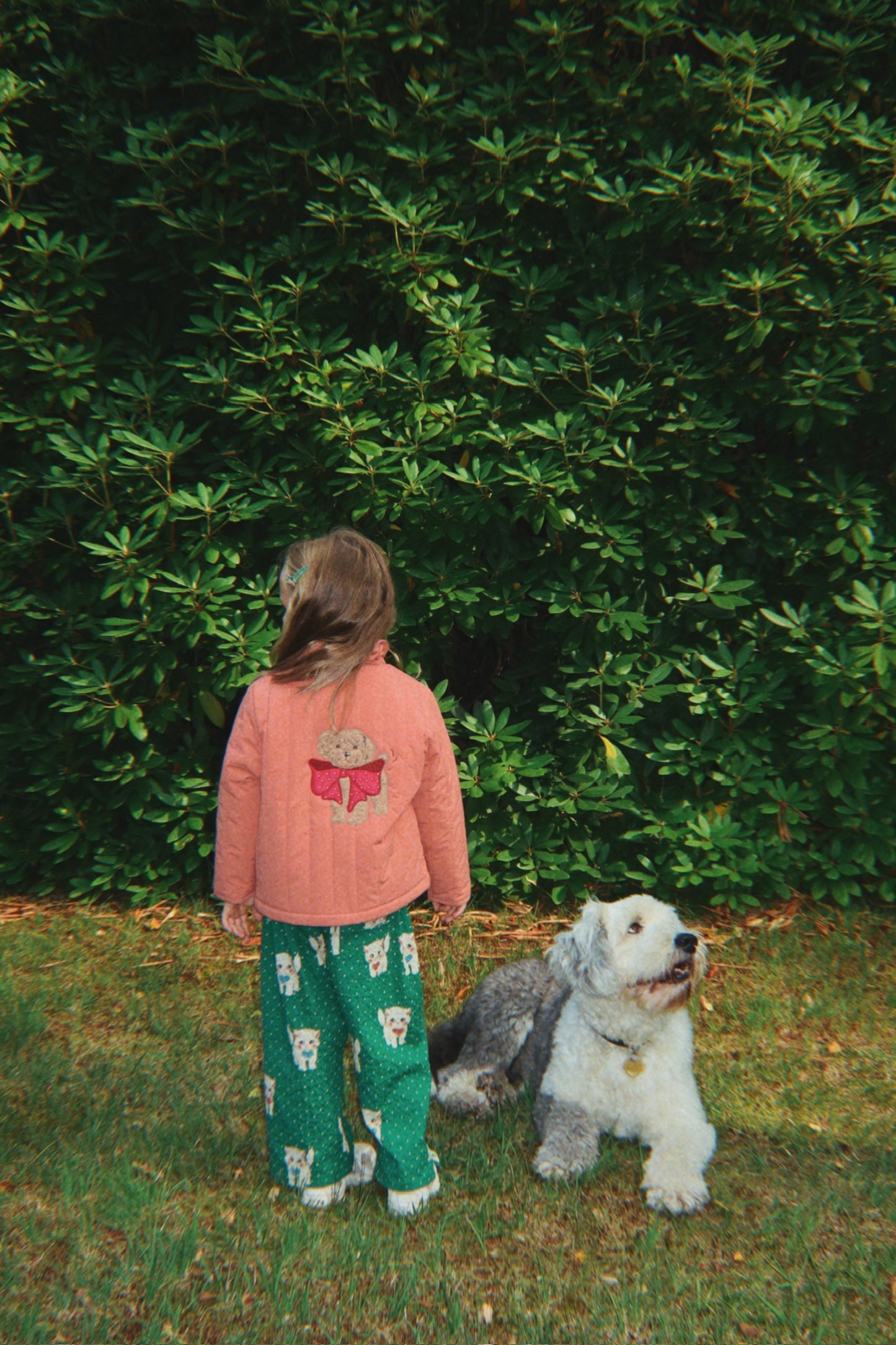 Juno Collar Bomber Jacket Doggy -Konges Slojd FW25