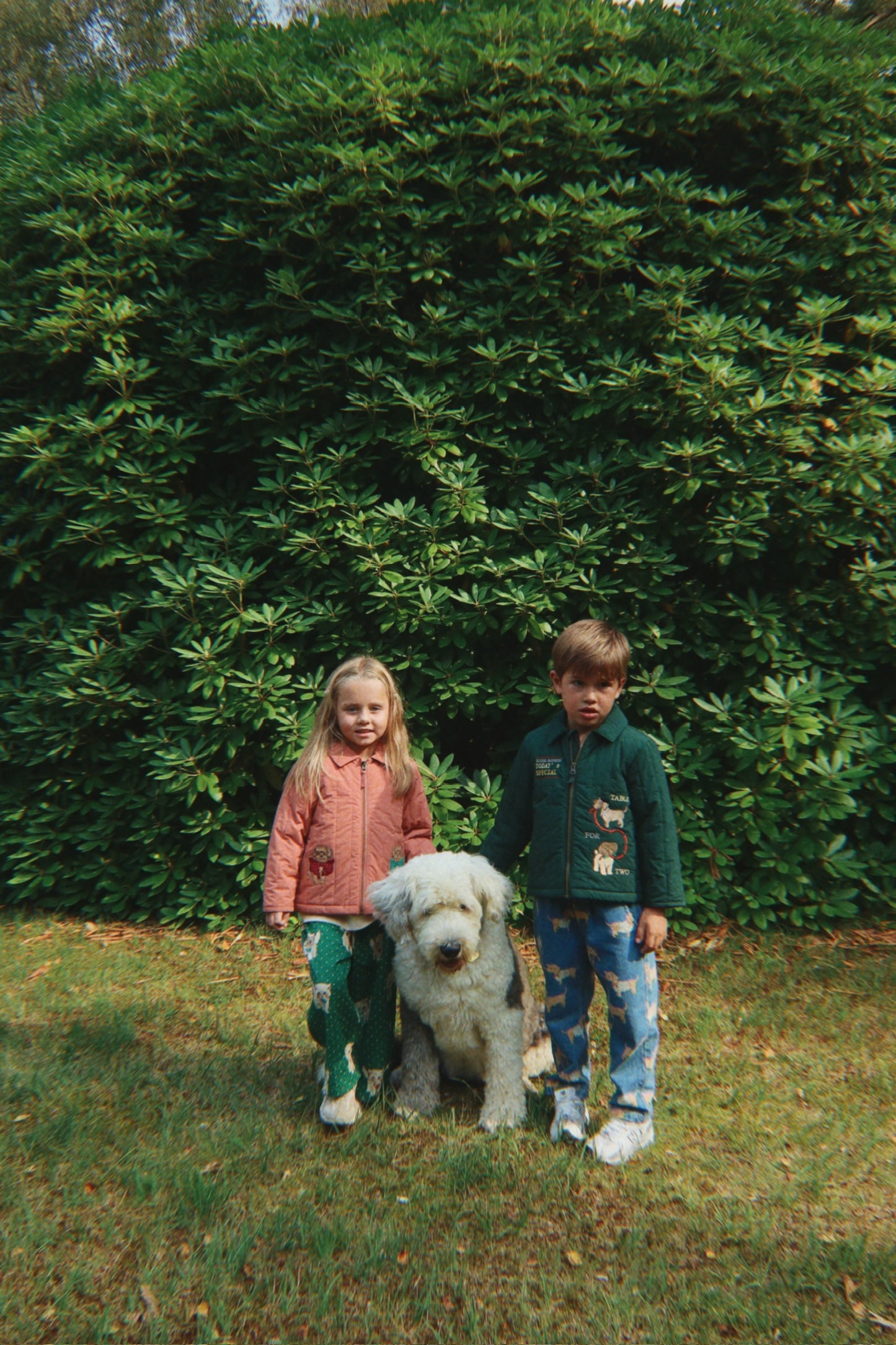 Juno Collar Bomber Jacket Dog-Konges Slojd FW25