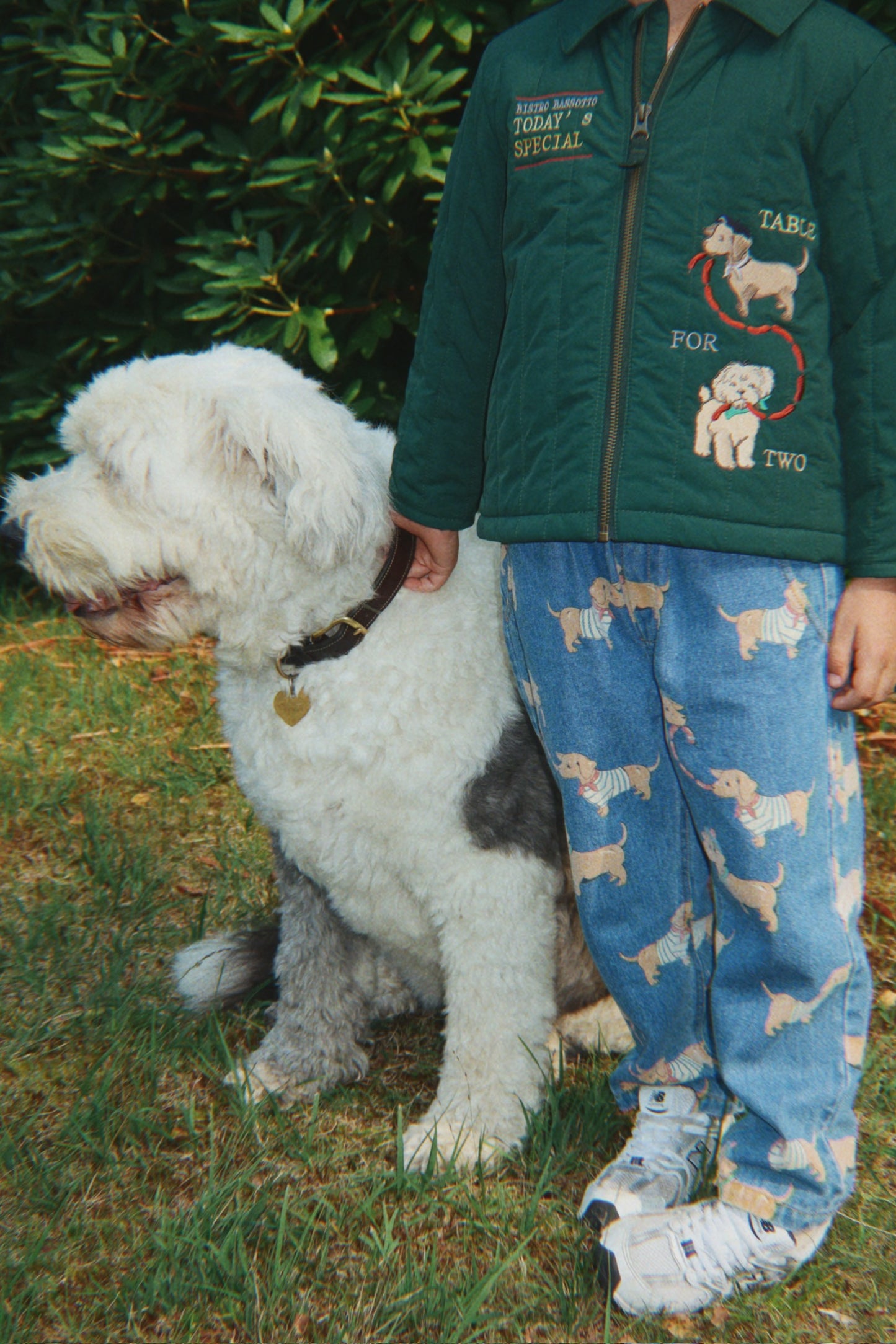 Juno Collar Bomber Jacket Dog-Konges Slojd FW25