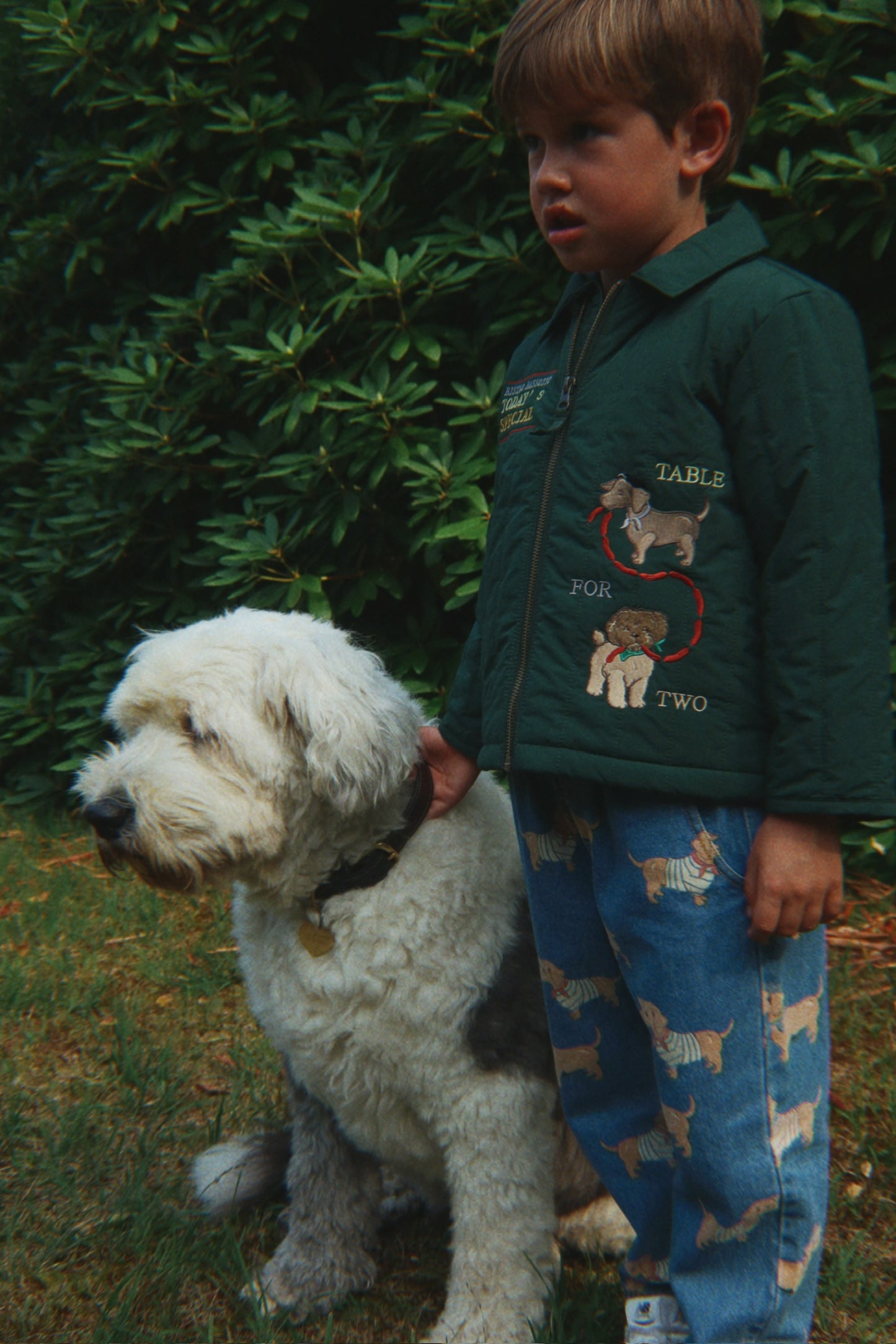 Juno Collar Bomber Jacket Dog-Konges Slojd FW25