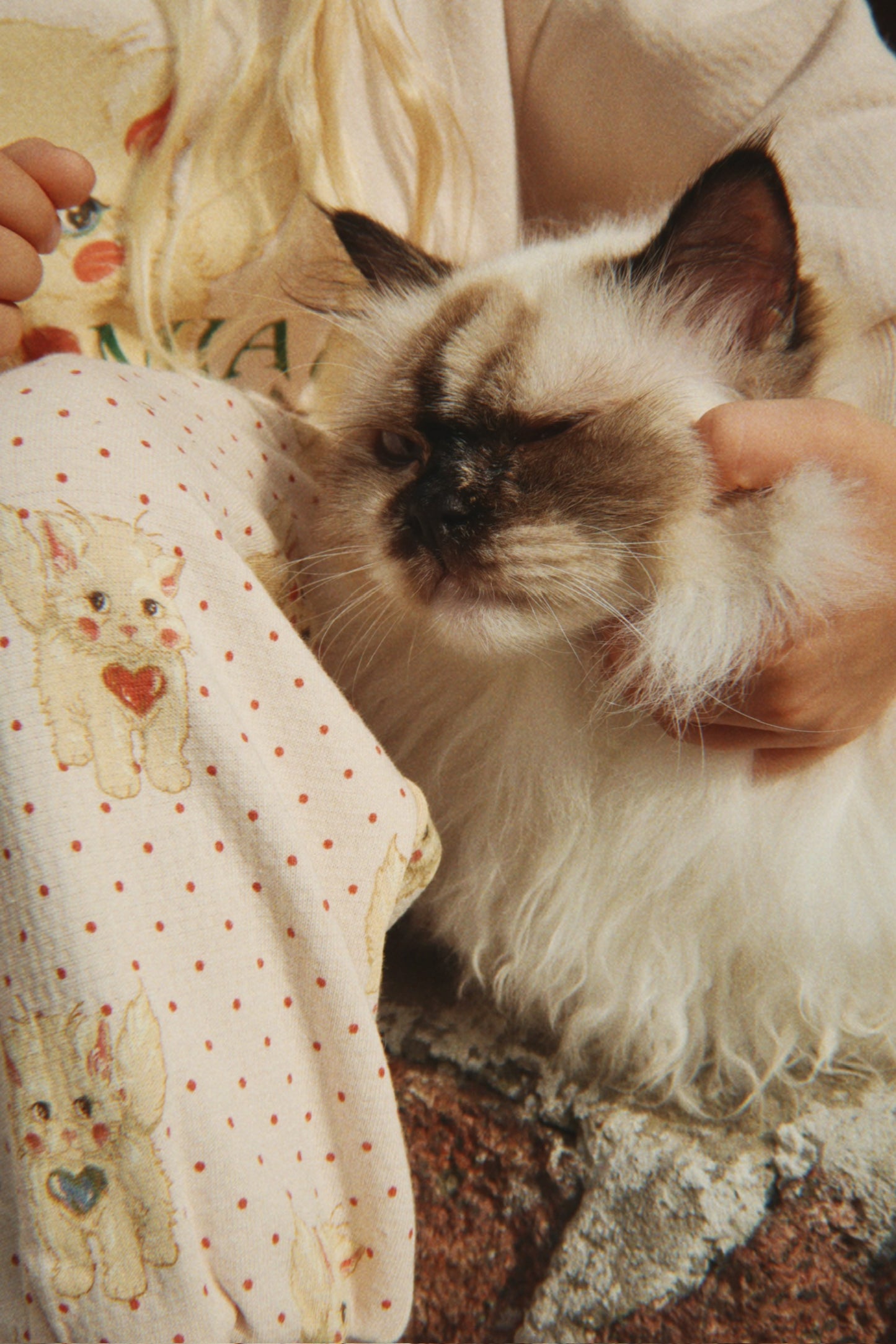 Belli Kitty Sweat Pant-Konges Slojd FW25