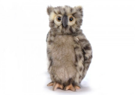 Spotted Owl - Hansa