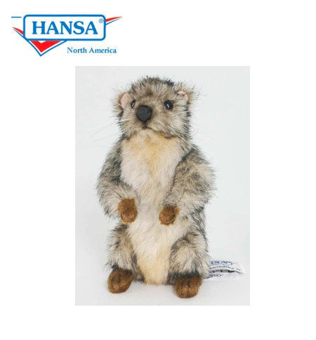 Baby Marmot 6" - Hansa