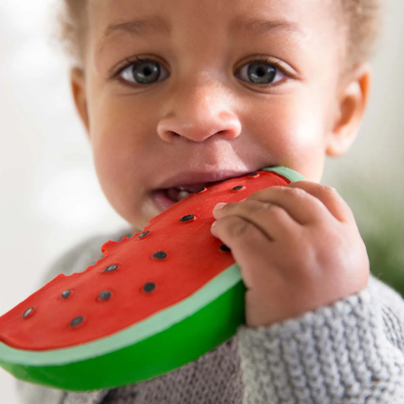 Wally the Watermelon Teether - Oli & Carol