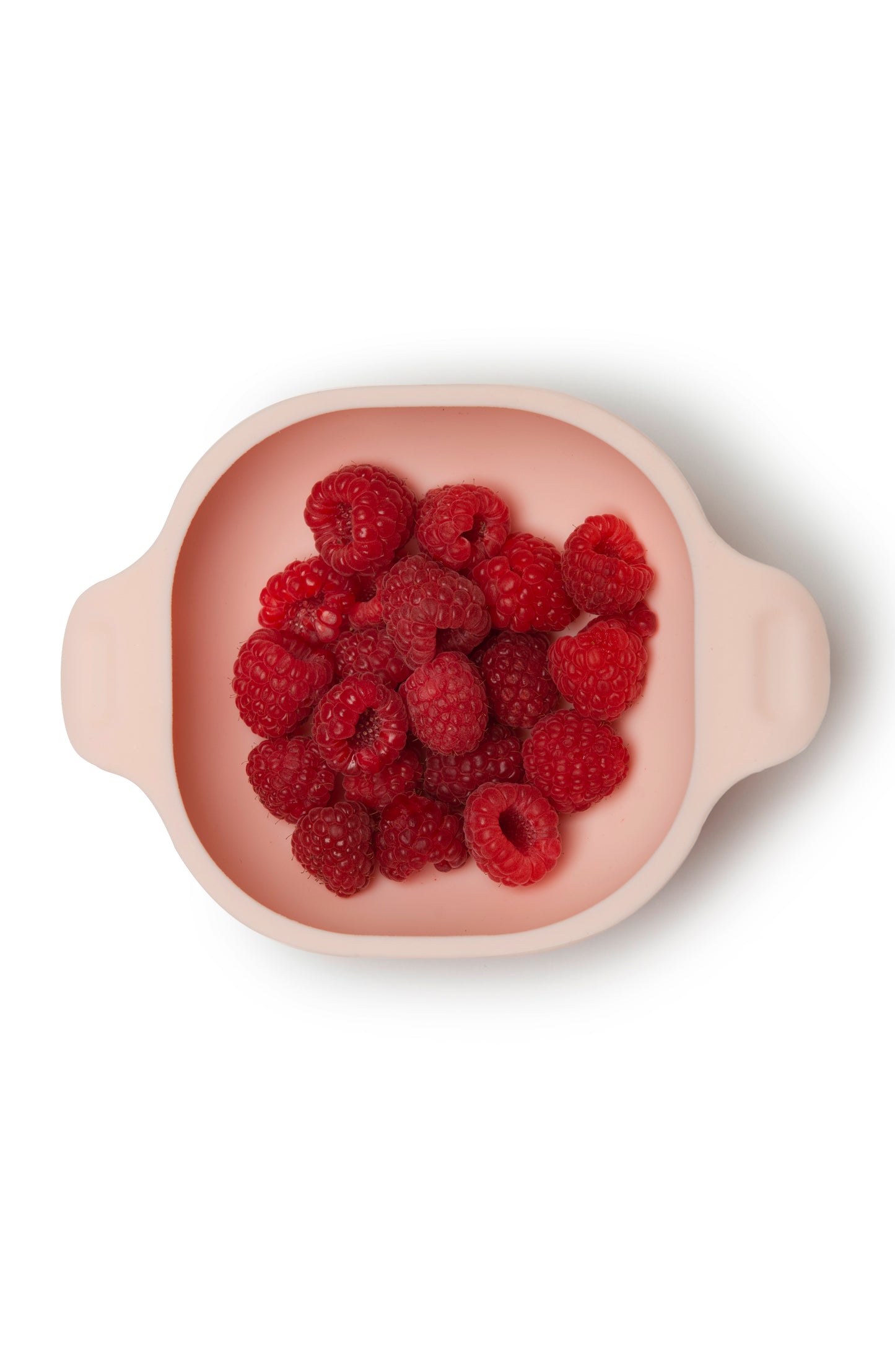 Born to Be Wild Silicone Snack Bowl - Loulou Lollipop