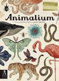 Animalium - Mudpie San Francisco