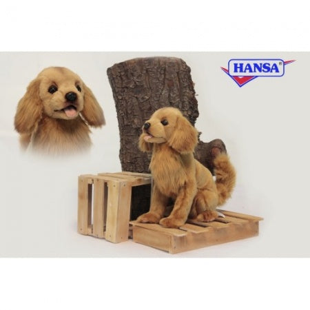 Golden Retriever Pup - Hansa