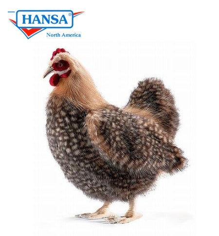 Brown Hen 14" - Hansa