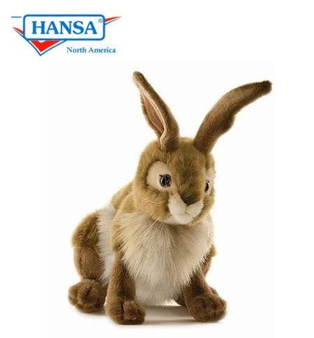 Blacktail Rabbit - Hansa