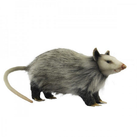 Opossum 12" - Hansa
