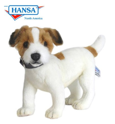 Jack Russel Terrier - Hansa