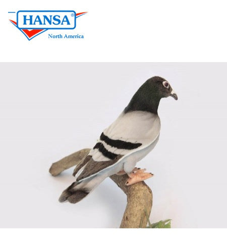 Pigeon - Hansa