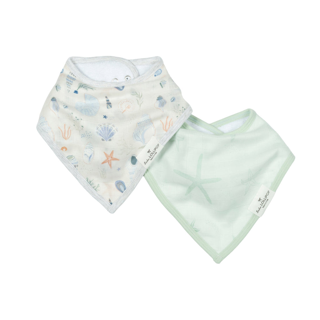 Bandana Bib Set (2) - Loulou Lollipop