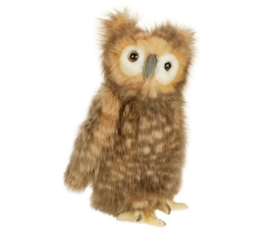 Brown Owl Youth - Hansa